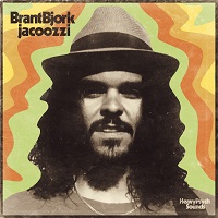 Artwork for Jacoozi by Brant Bjork