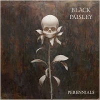 Artwork for Perennials by Black Paisley