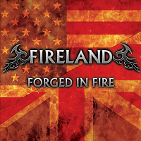 Artwork for Forged In Fire by Fireland