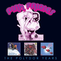 Artwork for The Polydor Years by Pink Fairies