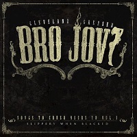 Artwork for Songs To Crush Beers To Vol 1 by Bro Jovi