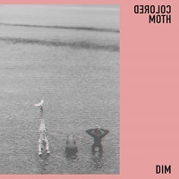 Artwork for DIM by Colored Moth