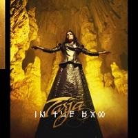 Artwork for In The Raw by Tarja