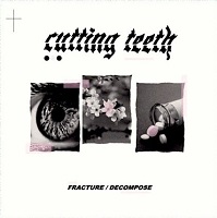 Artwork for Fracture/Decompose by Cutting Teeth