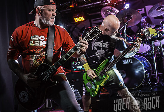 VIDEO OF THE WEEK – ACID REIGN