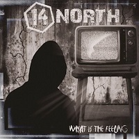 Artwork for What Is The Feeling by 14 North
