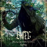 Artwork for Fäghring by Bhleg