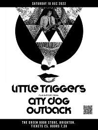 Little Triggers Green Store Brighton poster