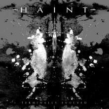 Artwork for Terminally Evolved by Haint