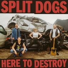 Artwork for Here To Destroy by Split Dogs