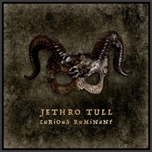 Artwork for Curious Ruminant by Jethro Tull