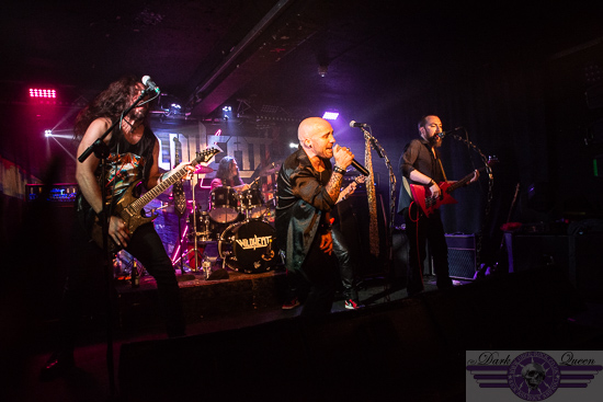 Wild Heat @ Voodoo Belfast 23 August 2025